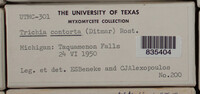 Image Associated With the Occurence